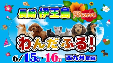 わんだふる