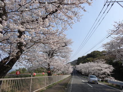 8-DSC08595