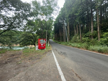 たかきの森キャンプ場 柳原溜池IMG_5490