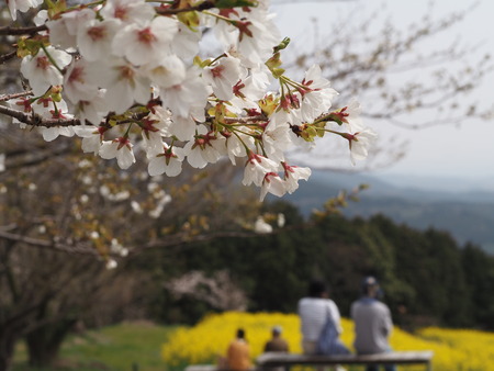 �������⸶�κ�P3271623