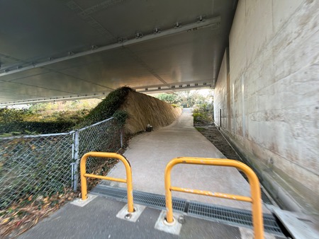 .Ĺ��ԡ��������IMG_9355