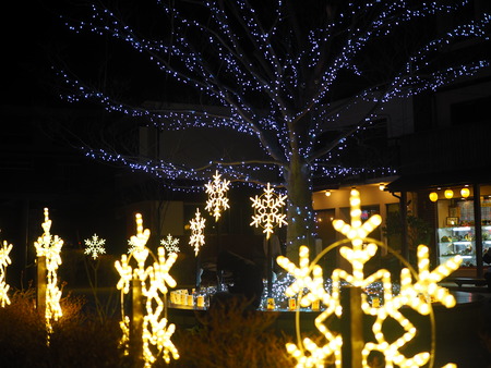 ±ÀÀçÅô¤ê¤Î²Ö¤Ü¤¦¤íP2211515