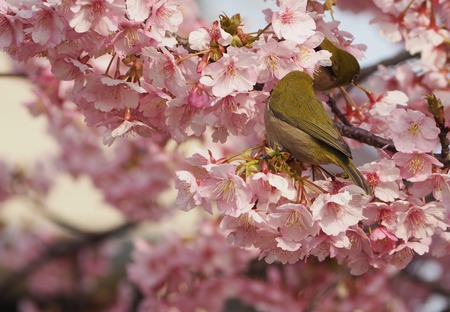 2023.03.04����¼�ԡ��׸�����2��P1012107