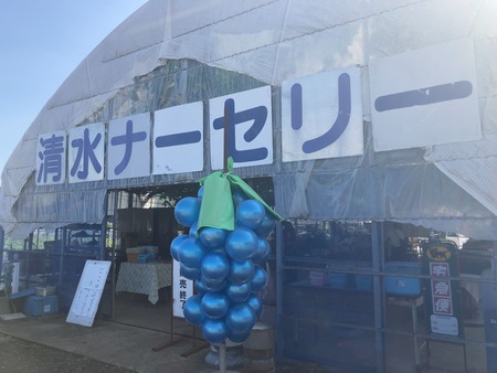 ����ʡ����꡼�֤ɤ���IMG_4973