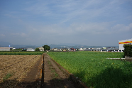 6-大村市ひまわりDSC01252