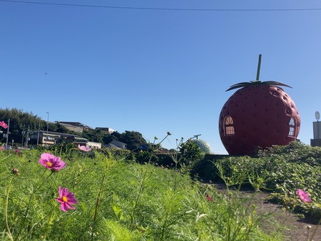 2024.11.09�����ե롼�ĥХ���IMG_7977