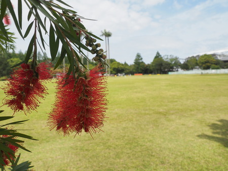 2024.05.11 諫早総合運動公園P5112908