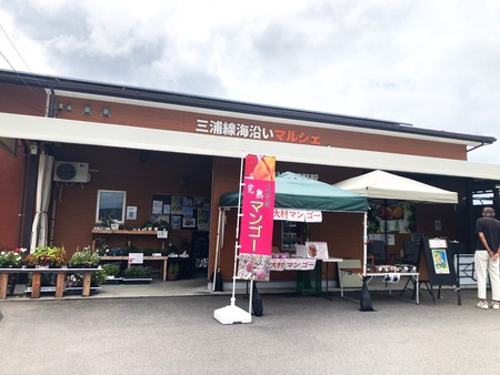 2025.08.12 Âç¼»Ô¡¡»°±º³¤´ßÀþ¥Þ¥ë¥·¥§IMG_0559