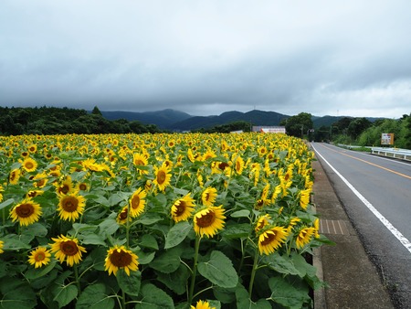 26-愛野町 国道沿いP7214125