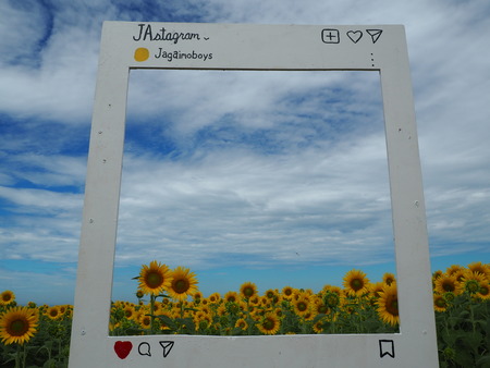 2023.08.05¡¡±ÀÀç»Ô¸ãºÊÄ®¤Ò¤Þ¤ï¤êȪP1011881