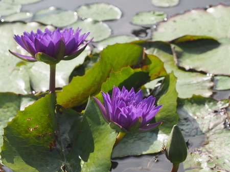 2025.07.22¡¡ëÝÁá»Ô¡¡ÅâÈæ¥Ï¥¹±à¡¡ÁÐÆ¬Ï¡P7230161