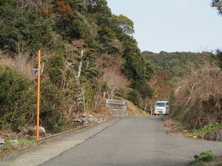2023.02.15 長崎市松原町 原種梅林 虎馬園P1016022