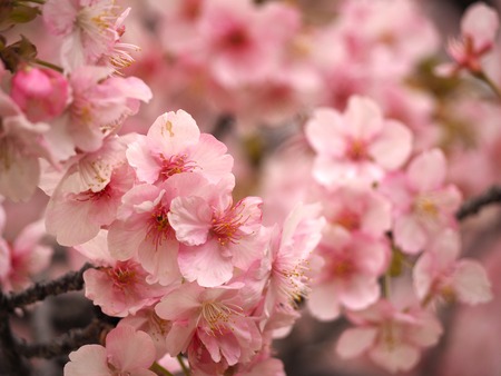 �׸�����β��ź�P2221505