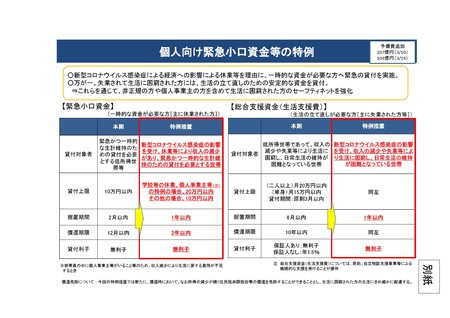 小口資金の特例
