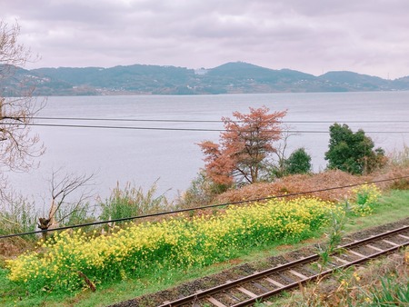 2022.03.20 多良見町 古川の桜並木IMG_2035