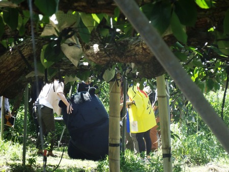 11-DSC06528