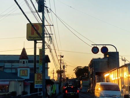 2022.02.25��󥬡��ϥå�����Ĺ��ŹIMG_9578