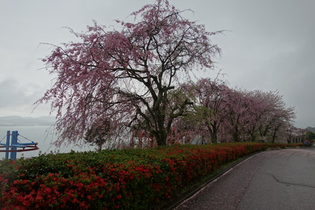 14−多良見町のぞみ公園DSC02020