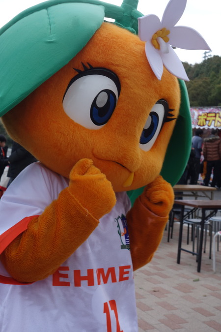 16-£Ö¥Õ¥¡¡¼¥ì¥óĹºê¡¡°¦É²ÀïDSC00809