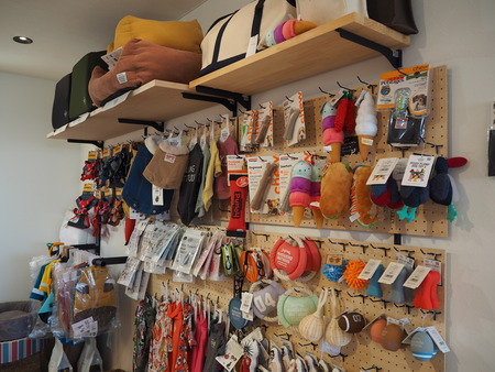 2021.09.25¡¡±ÀÀç»Ô¹ñ¸«Ä®¡¡rain P9160984