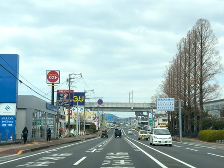 ���������Τ䡢�ޥ����꡼��Ʋ��Ĺ�긩����IMG_1270