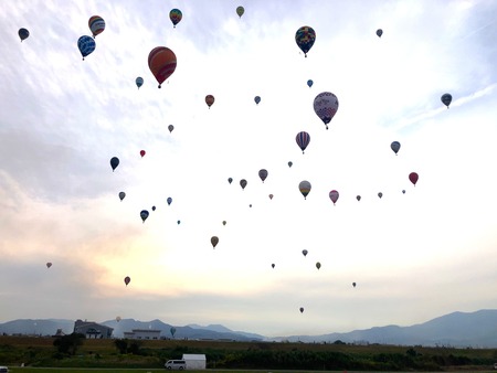 º´²ì¥Ð¥ë¡¼¥ó¥Õ¥§¥¹¥¿IMG_1201