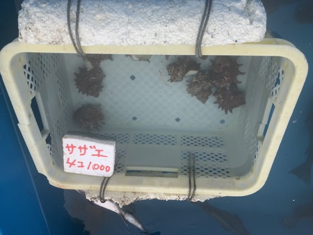 2024.04.27 �˲���ī��IMG_7102