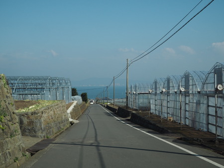 4-Å縶»ÔÍÌÀÄ®¡¡¥µ¥Ä¥¤È¥á¥¤¤Î²È¡¡Êª¸ì¥Ï¥¦¥¹PB094337