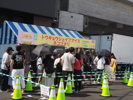 トウキョウシェイブアイス ネコゴオリ