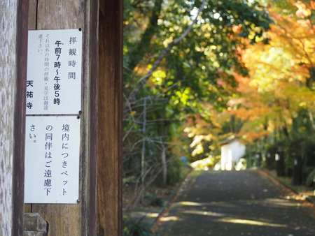 �Ҵѻ���PB281494