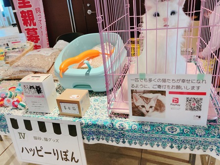 2023.02.14 happyりぼんIMG_3368