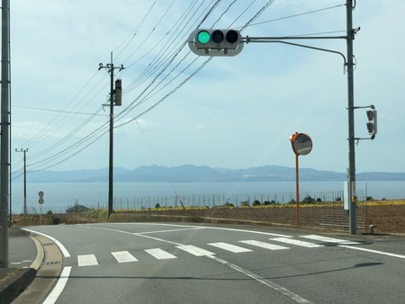 北串小学校前ひまわりIMG_1885