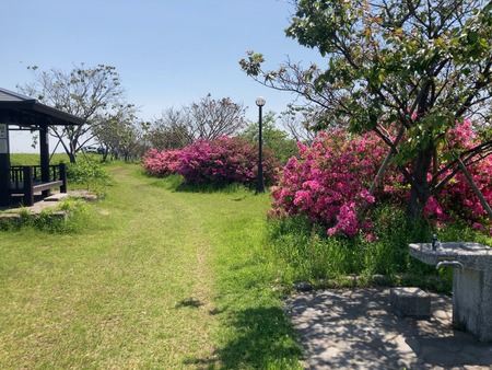 ����ԡ���������ŤĤߥ�����IMG_1159