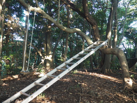 2023.07.11 Ĺºê»ÔÌîÊìºê¡¡ÌîÊì¤ó¤ÁP1019358