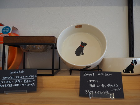 2021.09.25¡¡±ÀÀç»Ô¹ñ¸«Ä®¡¡rain P9160925