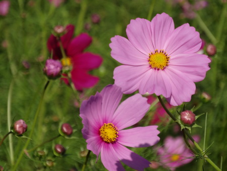 o-13DSC01838