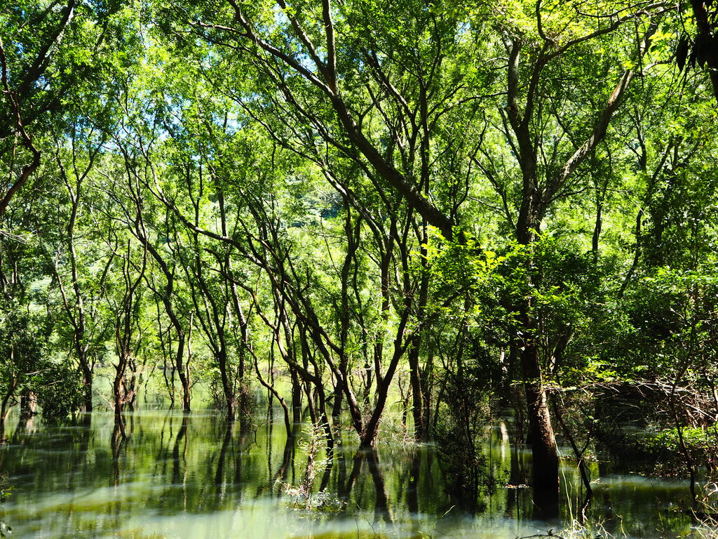 最も人気のある 多野郡吉井町池 5 吉田こと 空間のアイデアと装飾