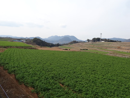 7-飯盛DSC00474