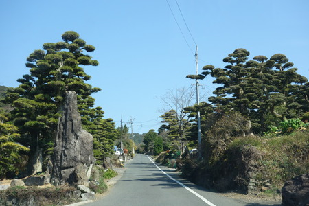10-虎馬園DSC04886