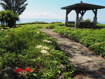 ��¼�ԡ���١�ȭ��������߲�P9241457