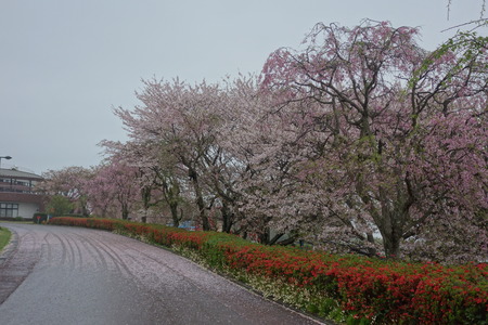 13−多良見町のぞみ公園DSC02033