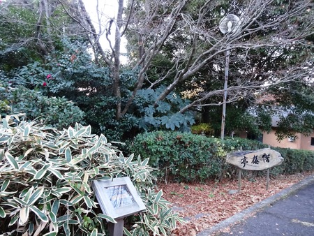 21-DSC05540