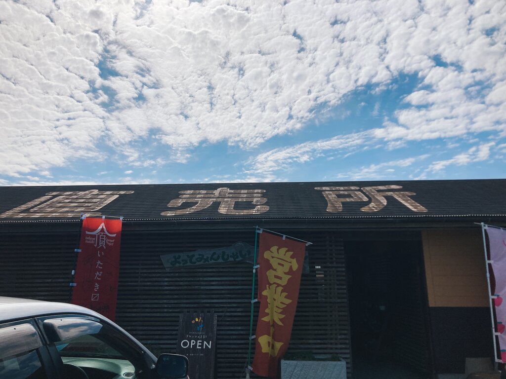 2022 河津桜が満開です！「久原公園」（大村市久原町） : 長崎＠諫早