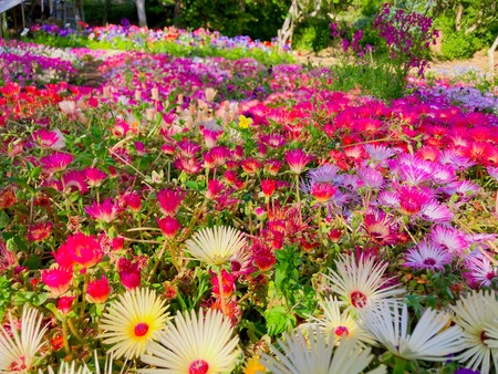 2022.04.19 ����Ը��Į���ھ�̾�β�ȪIMG_5668