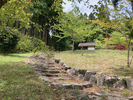 2025.07.19�����ὤ¿��ο�IMG_1310