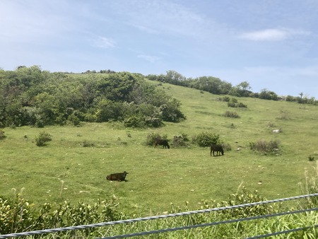 2023.05.04 平戸市生月 サンセットロードIIMG_7688