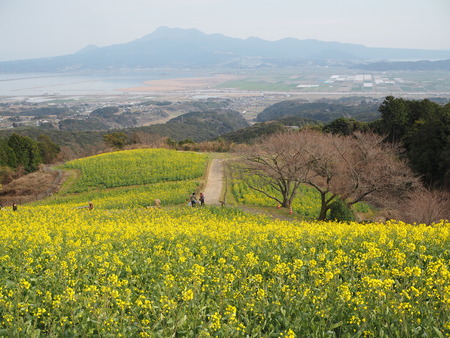 �������⸶�κڤβ�P3151396