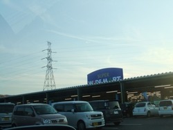 7-6DSCF4101