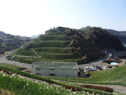 19-�����DSC00586