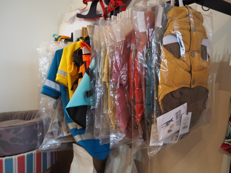 2021.09.25¡¡±ÀÀç»Ô¹ñ¸«Ä®¡¡rain P9160987